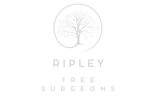 Ripley Tree Surgeons